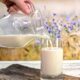 How To Drink Milk As Per Ayurveda : Sattvik Food series