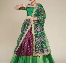 Karwa Chauth 2025 Special: What To Wear This year