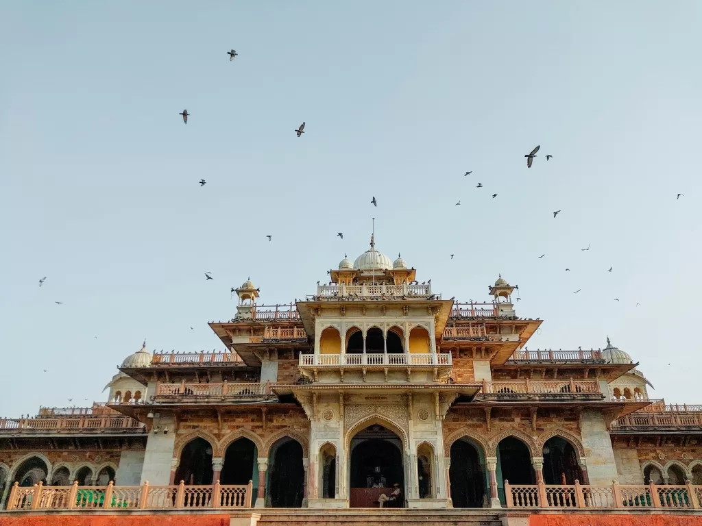 albert hall museum jaipur